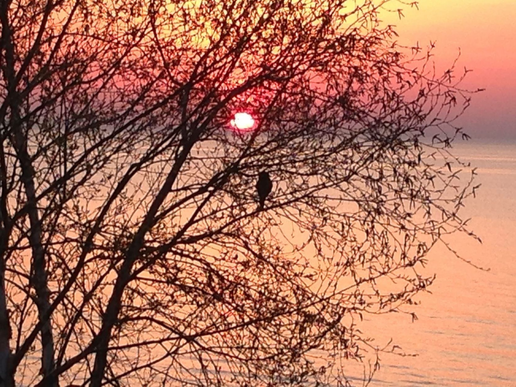 Racine sunrise